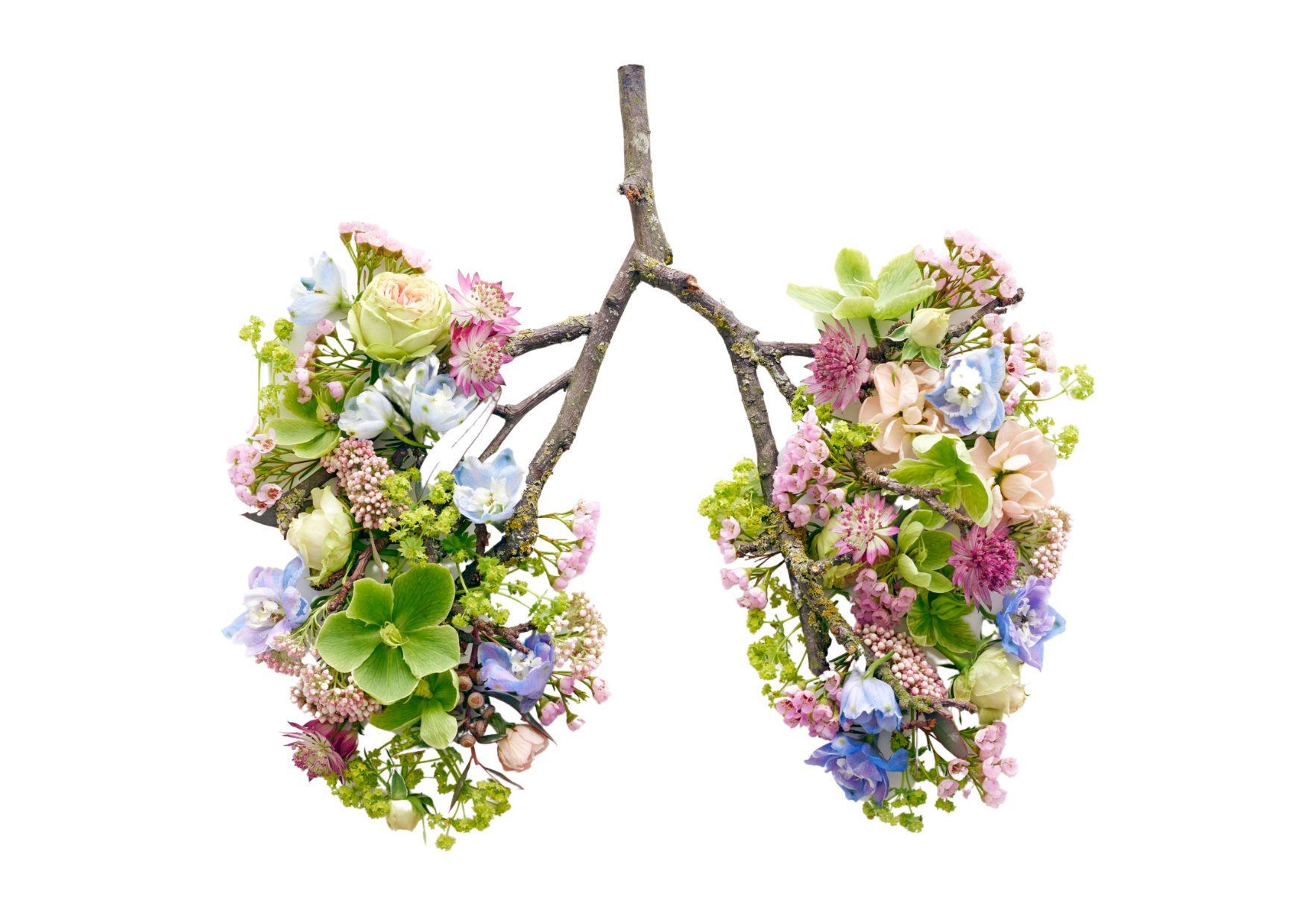 Lungen-Baum Breathwork für Yogalehrer:innen